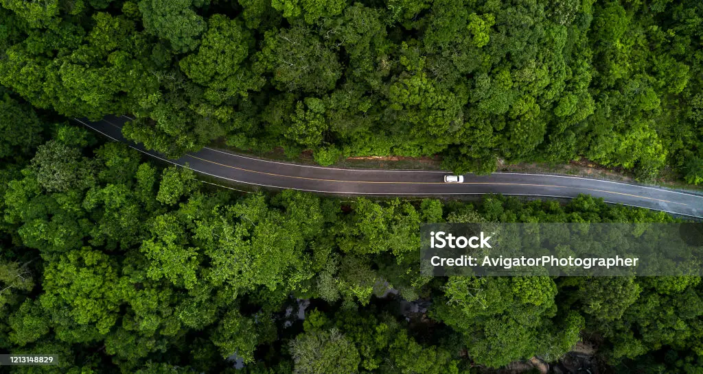 買取実績サンプル